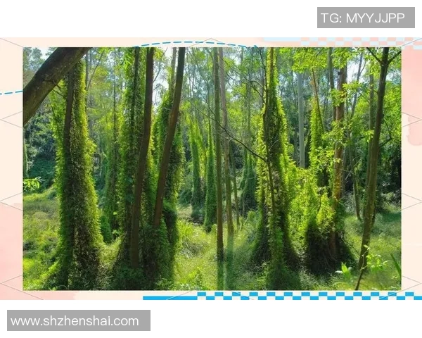 绿色森林与米尔顿的生态对话与自然和谐共生的探索之旅