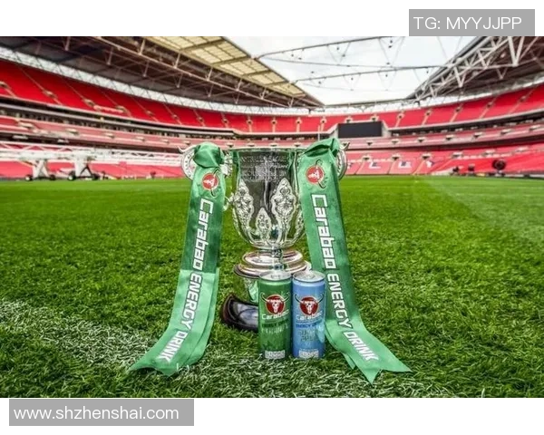 谢菲联与博尔顿的精彩对决分析与赛后点评