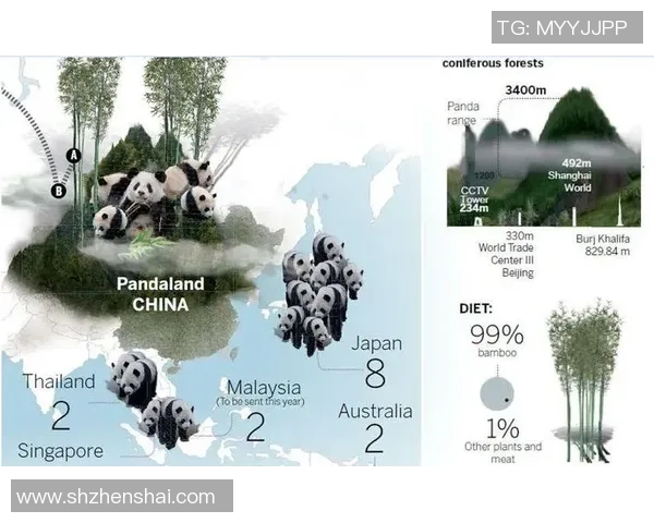 赖斯的外交智慧与全球影响力探讨:历史与未来的交汇点 赖斯的外交智慧与全球影响力探讨:历史与未来的交汇点
